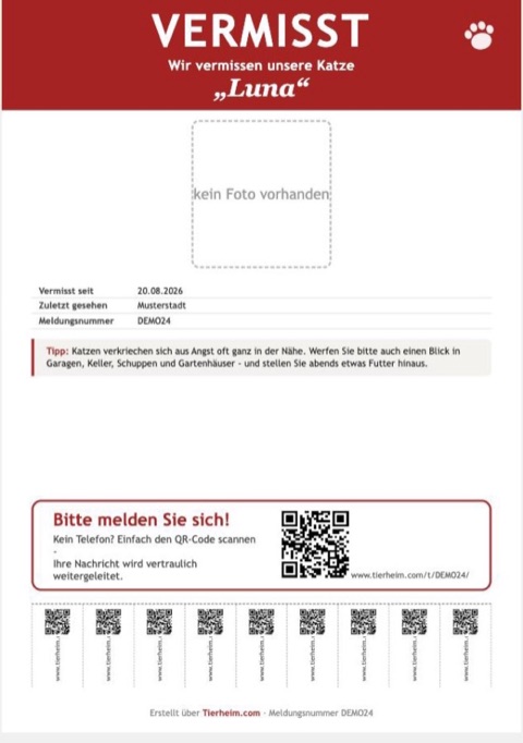 Beispiel eines fertigen Tierheim.com-Aushangs für ein vermisstes Tier