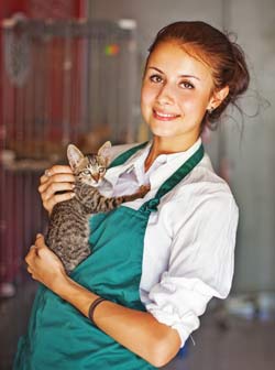 Besuchen Sie Ihr Tierheim vor Ort