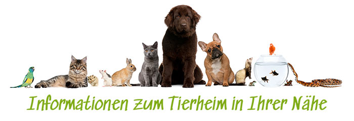 Tierheim Informationen